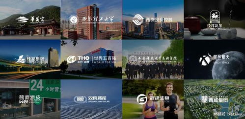 西安定制類網(wǎng)站有哪些優(yōu)勢(shì)和特點(diǎn)