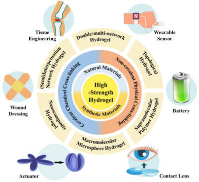 西工大黃河源、王文智/西安交大趙鑫 Nano Res.:高強度水凝膠的制備策略、增強機(jī)制與未來挑戰(zhàn)